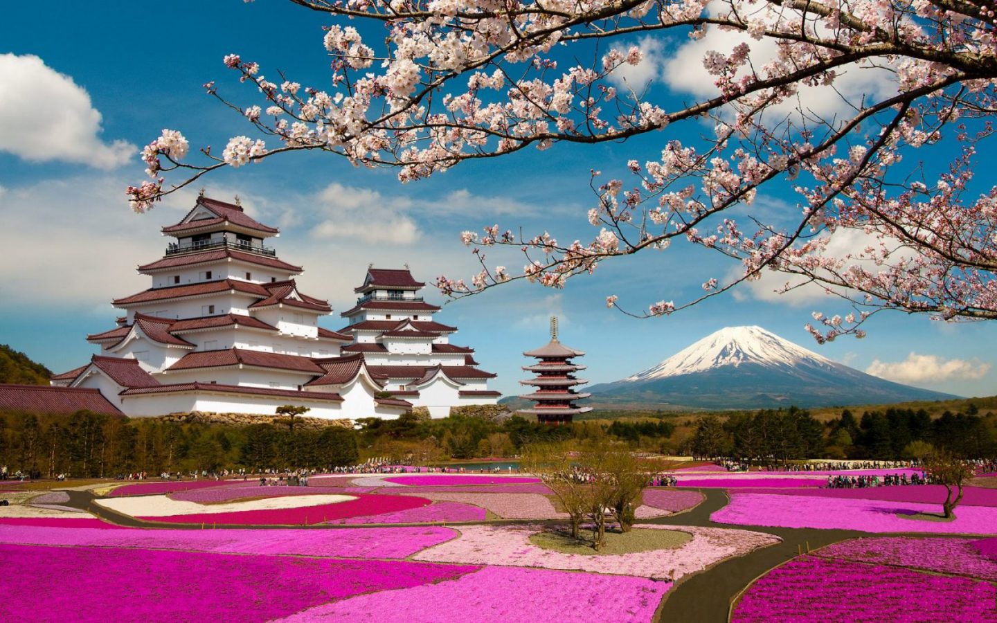 5 Lake of Fuji San